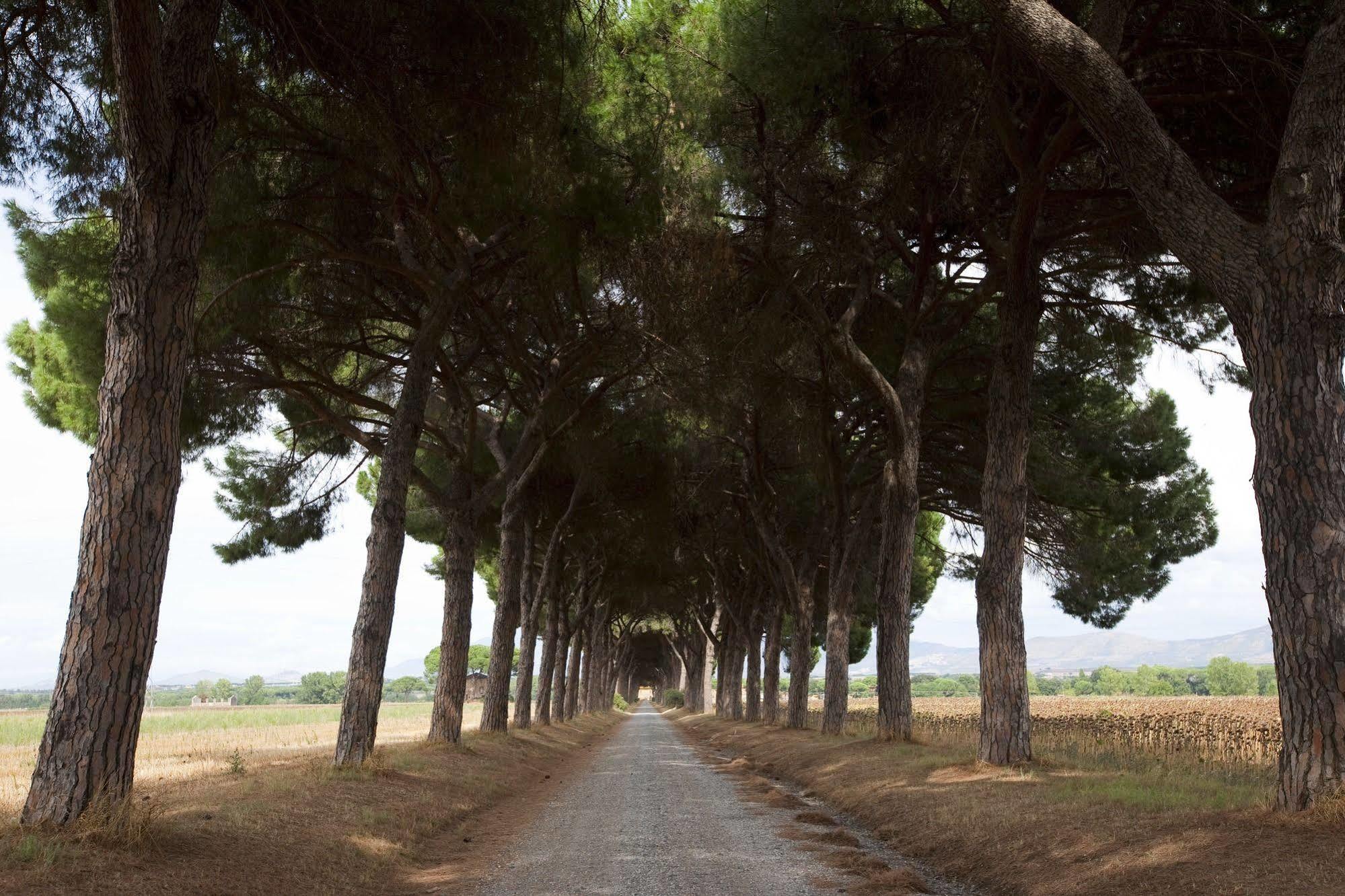 Agriturismo Pantano Borghese Monte Compatri Buitenkant foto